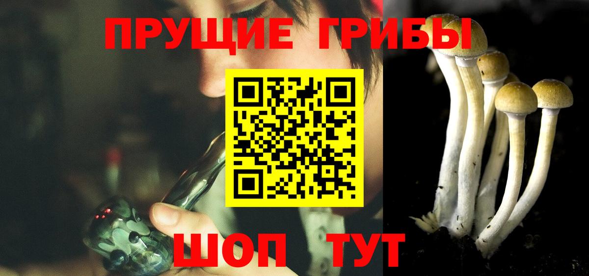 Петрозаводск  Галлюциногенные грибы MAGIC MUSHROOMS  где можно купить наркотик  Вход с VPN 
